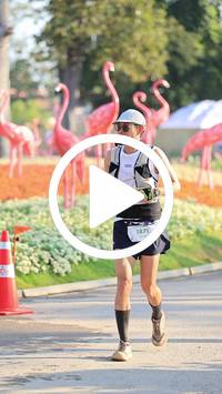 BIB:  <button type="button" onclick="openModal(27583507)" class="btn btn-primary btn-sm float-right" data-toggle="modal" data-target=".modal-high-quality">
                <i class="fa fa-download"></i> Download
                </button>